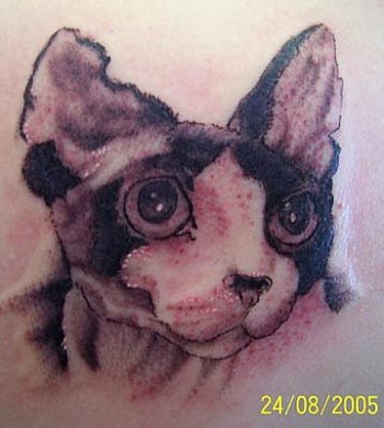 Tatuaje de un gato con oreja mordida