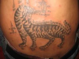 Tatuaje de un tigre tradicional tailandés