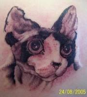 Tatuaje de un gato con oreja mordida