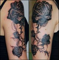 Tatuaje de varias rosas de espinoso tallo