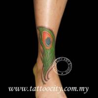 Tatuaje de una pluma de pavo real en el tobillo
