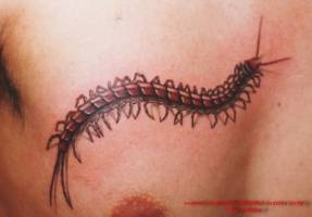 Tatuaje de un ciempiés en el pecho