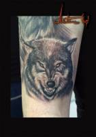 Tatuaje de una cabeza de lobo en blanco y negro